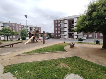 Imagen 14