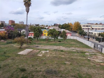 Imagen 5
