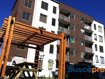 Arriendo Mensual / Departamento / Talcahuano