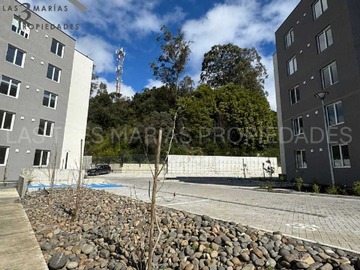 Imagen 15