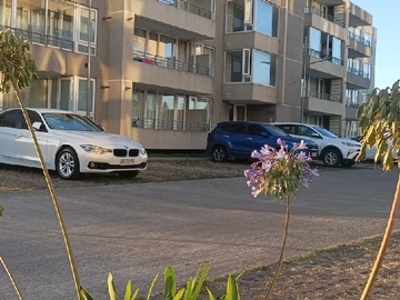 Arriendo Mensual / Departamento / Talcahuano