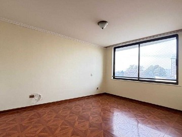 Imagen 12