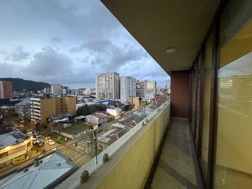 Imagen 23
