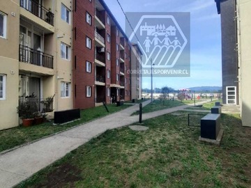 Imagen 15