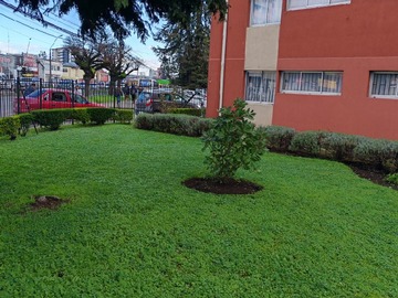 Arriendo Mensual / Departamento / Temuco