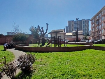 Imagen 16