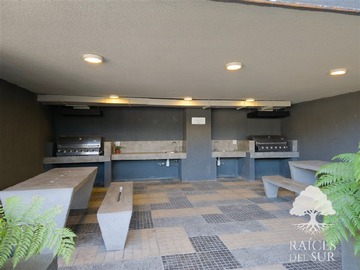 Imagen 11