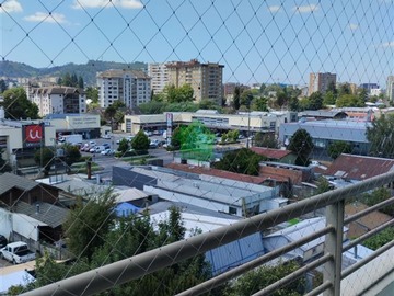 Imagen 5