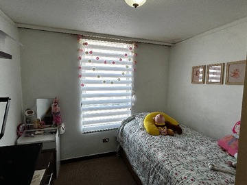 Imagen 5