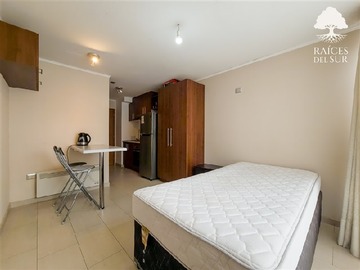 Imagen 5