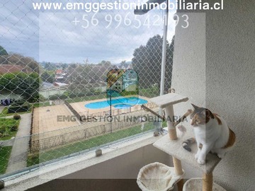Imagen 22
