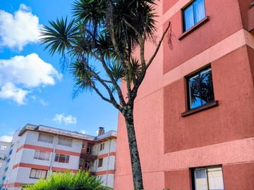 Arriendo Mensual / Departamento / Valdivia