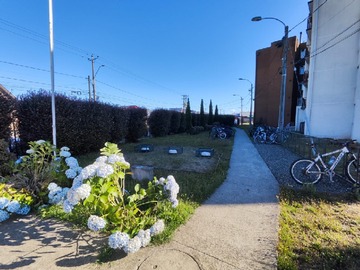 Arriendo Mensual / Departamento / Valdivia