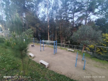Imagen 22