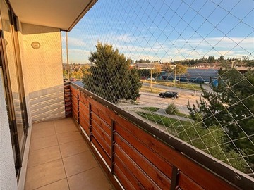 Imagen 8