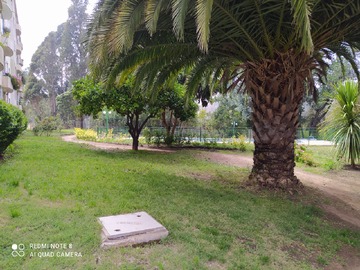 Imagen 13