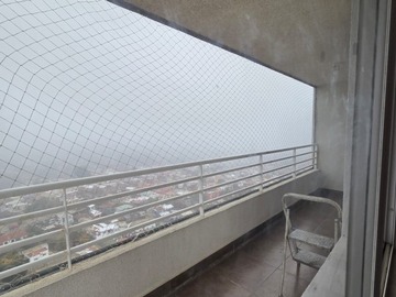 Imagen 19