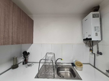 Imagen 10