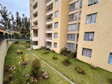 Arriendo Mensual / Departamento / Valparaíso