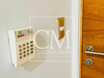 Imagen 11