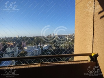 Imagen 7