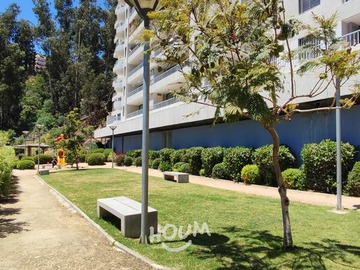Imagen 25
