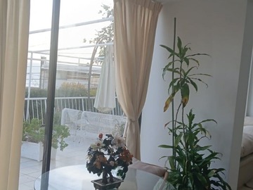 Imagen 8