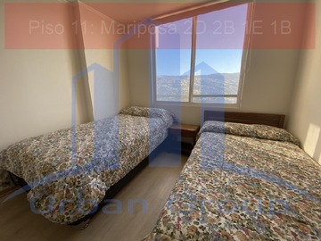 Imagen 12