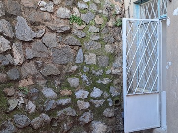 Imagen 13