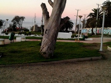 Imagen 4