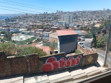 Imagen 5