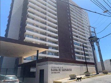 Arriendo Mensual / Departamento / Valparaíso