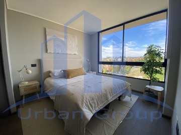 Imagen 10