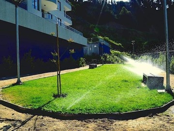 Imagen 15