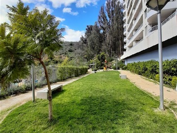 Imagen 12