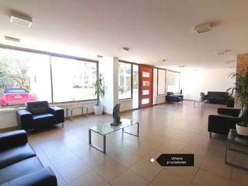 Imagen 22