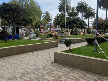 Imagen 6