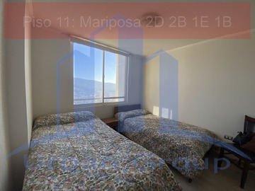 Imagen 11
