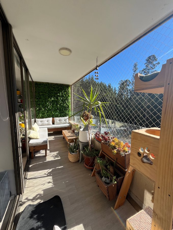 Terraza