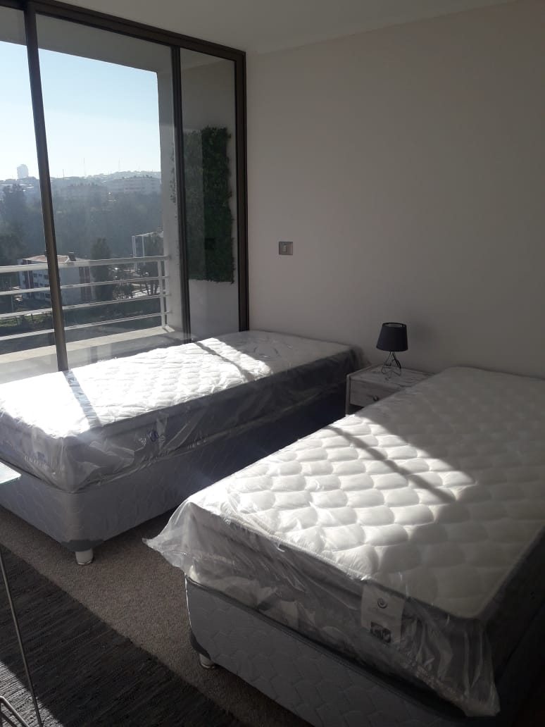 Disposición 2