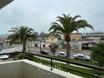 Imagen 6