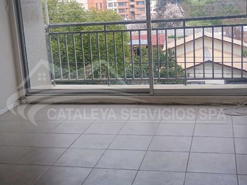 Imagen 13