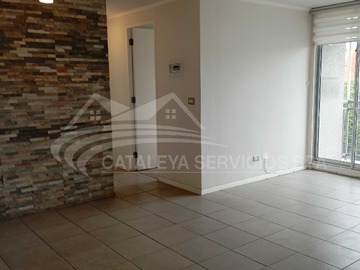 Imagen 8