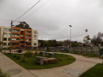 Imagen 20