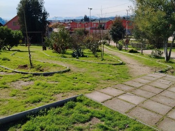 Imagen 15