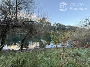 Imagen 15