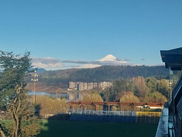 Arriendo Mensual / Departamento / Villarrica