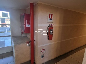 Imagen 19