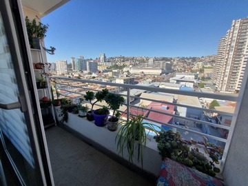 Arriendo Mensual / Departamento / Viña del Mar