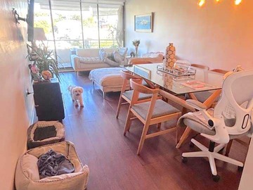 Arriendo Mensual / Departamento / Viña del Mar